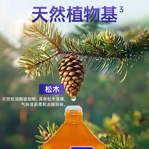 『除菌液』拖地洗衣玩具多用途清洁松木精华温和安全浓缩配方 商品图3