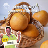 生态晶宝梨 | 合作生产* Ecological Jingbao Pear | Partner Production 商品缩略图0