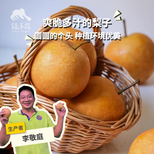 生态晶宝梨 | 合作生产* Ecological Jingbao Pear | Partner Production 商品图0
