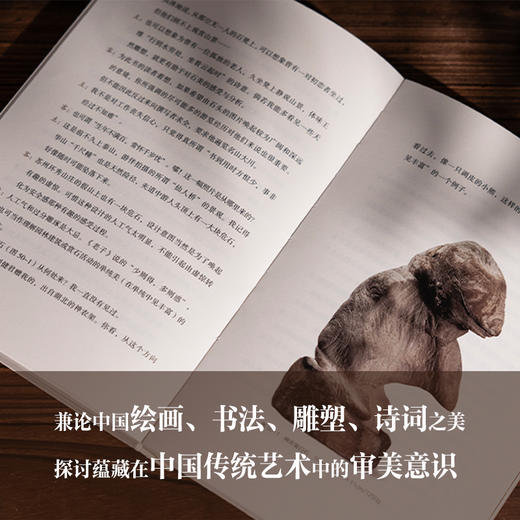 石道因缘王朝闻美学中国艺术审美赏石奇石爱好者收藏家赏石随笔收录奇石图片百余张提供发挥想象力的自由空间自然之物背后的艺术之美 商品图3