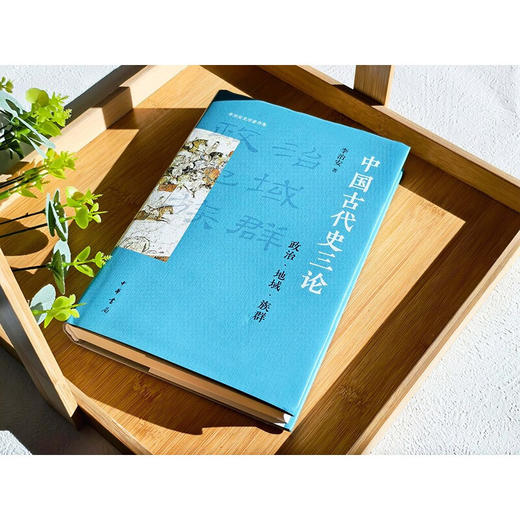 中国古代史三论 政治 地域 族群 李治安史学著作集 李治安 著 社会科学 商品图2