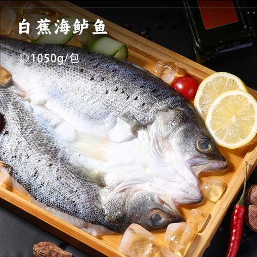 白蕉海鲈鱼 | 产自鲈鱼之乡“白蕉镇”活鱼现捕 肉呈蒜瓣状 白嫩无细刺 入口嫩滑清甜 去鳞去腮去内脏 商品图0