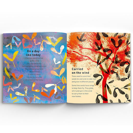 My Big Book of Outdoors 我的四季大书 商品图4