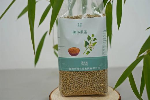 试吃团450g/袋苦荞饭/黑苦荞饭高寒山区种植1年仅1季颗颗饱满满满膳食纤维烹饪百搭配料表干净 商品图8