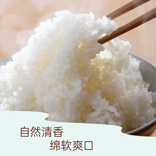 田良五常五优稻4号稻花香5kg（新老包装随机发货哦~） 商品图2