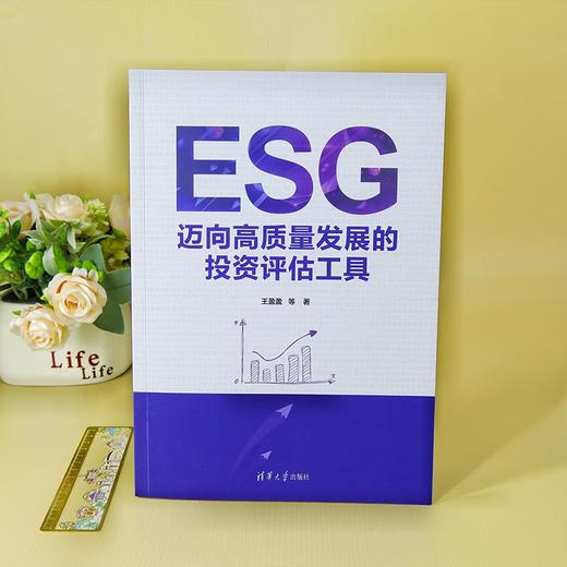 ESG 迈向高质量发展的投资评估工具 王盈盈等 著 金融与投资 商品图1