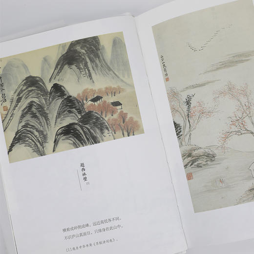 苏东坡传(纪念典藏版) 商品图1