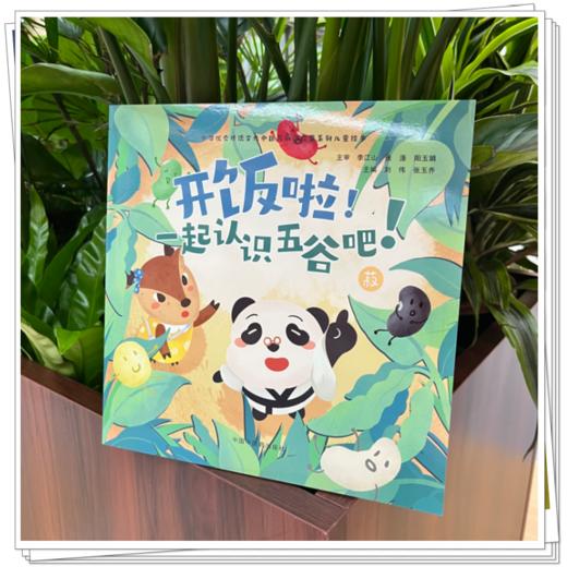 开饭啦！一起认识五谷吧！菽 刘伟 张玉乔 主编 中华优秀传统文化中医药知识启蒙系列儿童绘本 中国中医药出版社 商品图1