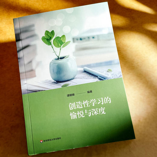 创造性学习的愉悦与深度 谭珊珊 培育创新思维的学习设计 商品图4