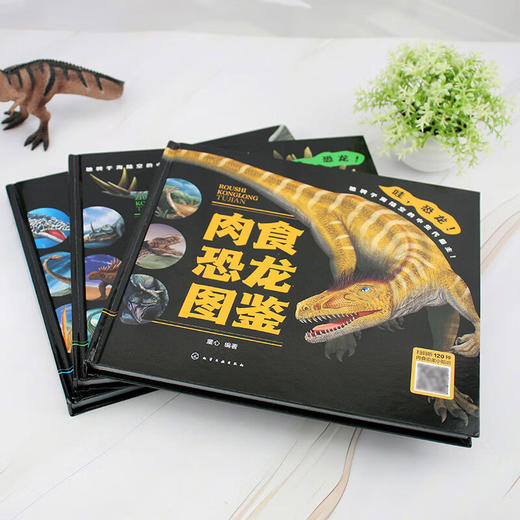 恐龙图鉴 3-6岁 童心 编著 科普 商品图3