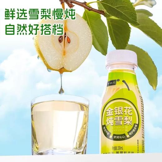 【19.9元购10瓶】春中田园金银花炖雪梨饮料200ml 商品图1