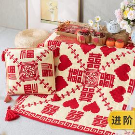 苏苏姐家福喜抱枕&毯子手工DIY家居钩针毛线4股牛奶棉自制材料包