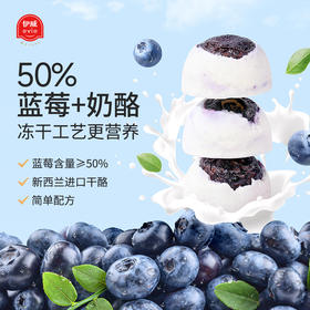 【伊威—冻干蓝莓奶酪球】零食水果零食益生菌益生元20g