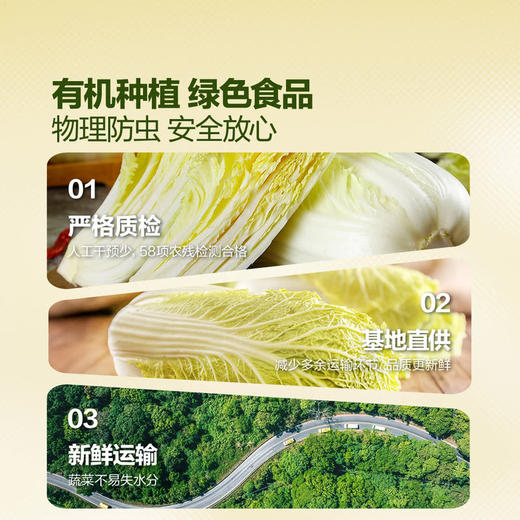 MM 山姆 有机娃娃菜 850g 商品图2