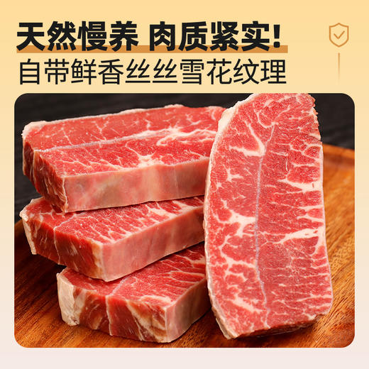牛秘书阿根廷原切板腱套餐1320g0添加不拼接筋软弹嫩精心精养 商品图2