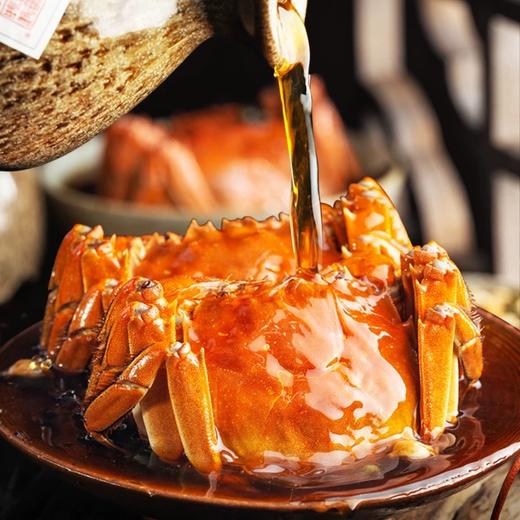 「顺丰冷链包邮」一口鲜入魂！白兰地花雕熟醉六月黄/全母蟹/罗氏虾，洪泽湖活螃蟹现捞现制，蟹黄爆浆！ 商品图0