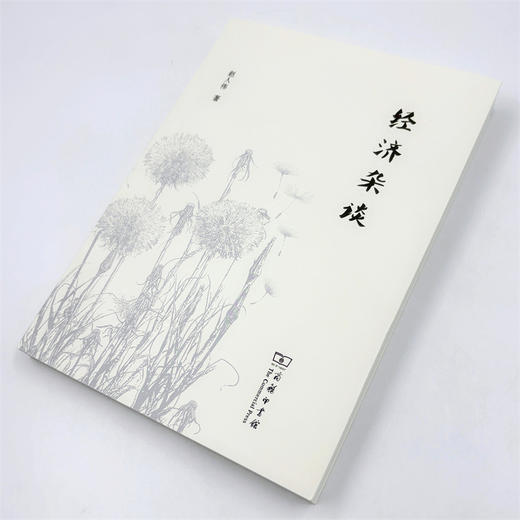 经济杂谈 商品图4