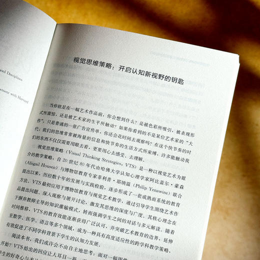 视觉思维策略 利用艺术深化跨学科学习 艺术与认知丛书 视觉艺术教学策略 商品图6