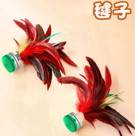 彩色鸡毛毽子成人健身儿童小学生幼儿园训练耐踢 商品图2