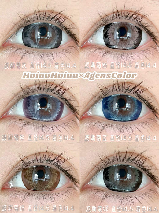 【本店实拍】波斯菊系列-紫色 棕色 蓝色 灰色 粉色 绿色14.5mm 【年抛 度数0-1000度 无525/575 】 商品图0