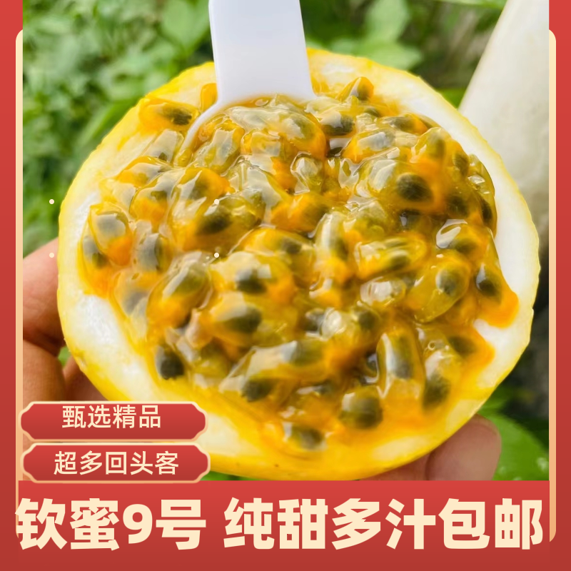 钦蜜9号百香果 不用加蜂蜜直接吃的百香果 每一颗都是圆滚滚的“汁水炸弹”
