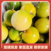 钦蜜9号百香果 不用加蜂蜜直接吃的百香果 每一颗都是圆滚滚的“汁水炸弹” 商品缩略图3