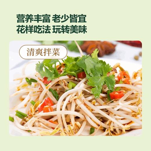 MM 山姆 有机绿豆芽 600g 商品图4