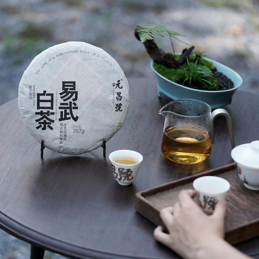 【元昌号】2022年易武森林古树白茶357g饼 商品图1