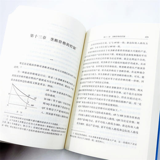 不完全竞争经济学（汉译22辑） 商品图5