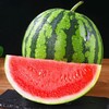 麒麟西瓜（约7~8斤/个） 商品缩略图1
