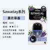 KOBAYASHI小林制药 车载空气清新剂去异味消臭元 6ml/盒（多规格香型） 商品缩略图7