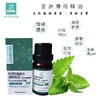 印度【 亚洲薄荷】精油 单方纯精油 清凉舒爽 闻嗅/扩香/调油 商品缩略图3