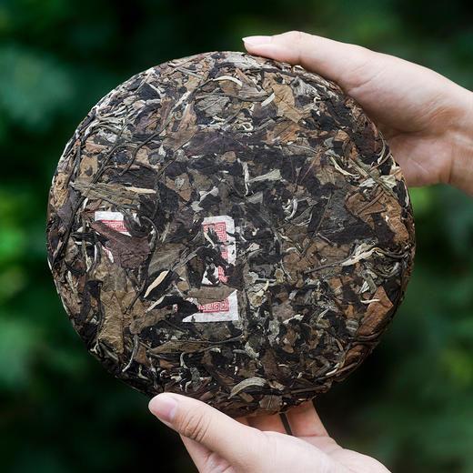 【元昌号】2022年易武森林古树白茶357g饼 商品图3