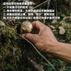 野生王家寨松茸 | 合作生产 * Wild Xiaojin Matsutake | Coproduction 商品缩略图5