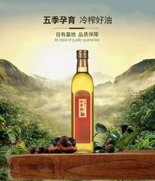 【限富临店】迎福高纯山茶油500ml-5117 商品图0