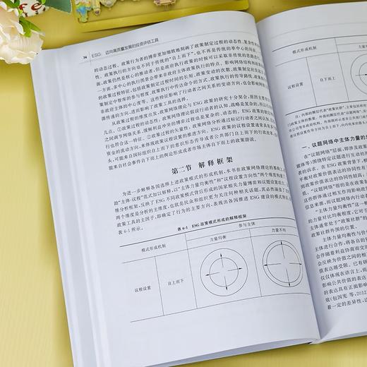 ESG 迈向高质量发展的投资评估工具 王盈盈等 著 金融与投资 商品图4