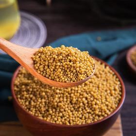 试吃团450g/袋苦荞饭/黑苦荞饭高寒山区种植1年仅1季颗颗饱满满满膳食纤维烹饪百搭配料表干净