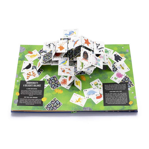 Pop-Up自然科普 商品图3