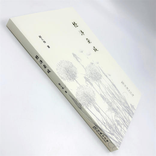 经济杂谈 商品图3