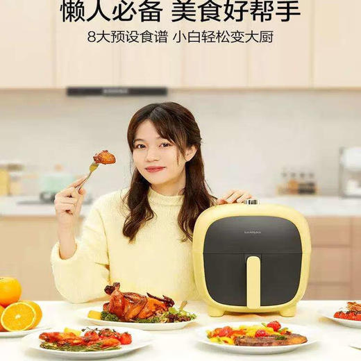 Lock&Lock乐扣乐扣空气炸锅家用4升大容量EJF183旋钮款/EJF373数码款 商品图7