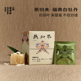 燕归来·2024年福鼎白牡丹 | 浮世茶系列 | 4g*15包｜白茶类