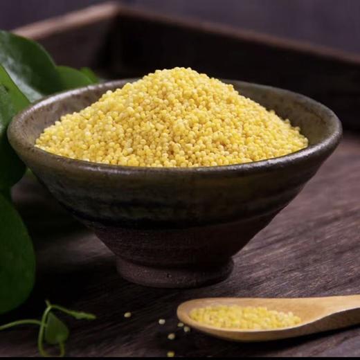 禾川黄小米500g/袋 商品图7