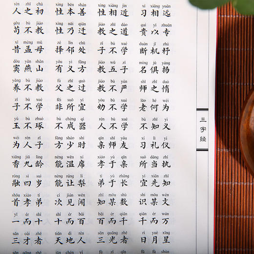 三字经 百家姓 千字文 德育启蒙 孝经 中华经典诵读本书籍 商品图3