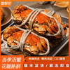 「顺丰冷链包邮」一口鲜入魂！白兰地花雕熟醉六月黄/全母蟹/罗氏虾，洪泽湖活螃蟹现捞现制，蟹黄爆浆！ 商品缩略图5