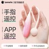【想要尝试G点快乐的小白入门款】瞬喜AI版 app版 支持app远程控制遥控 渐变粉杏色两色 商品缩略图0