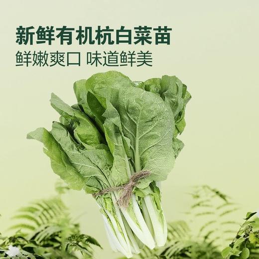 MM 山姆 Member's Mark 有机杭白菜苗 600g 商品图2