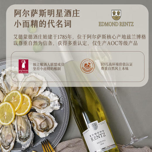 【金奖雷司令】菲特瓦艾德蒙德·汉斯庄园雷司令干白葡萄酒  法国原瓶进口 13%vol 商品图3