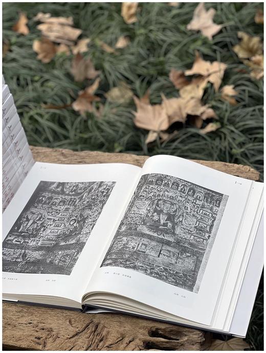 重点推荐！！《中国文化史迹》，全12册，精装，8开大册，常盘大定、关野贞著，上海辞书，2018年11月一版一印，定价8800，售价2480（全新原箱包邮） 商品图7