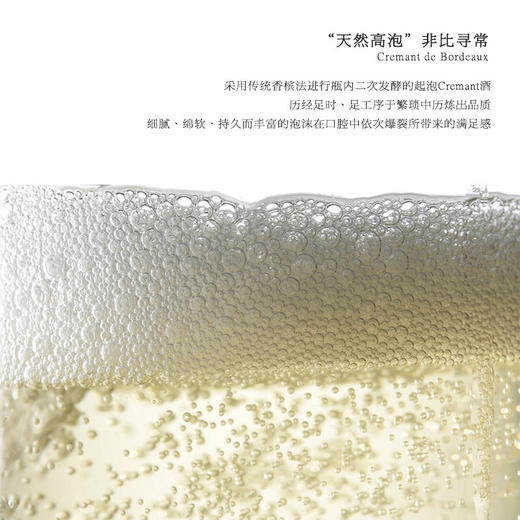【传统香槟法】法国菲特瓦宝润天然高泡型气泡葡萄酒  波尔多·两海之间AOC 12%vol 商品图6