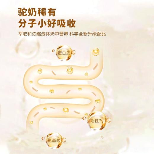 【GJ链接请勿用!!!】【天赋圣驼初乳配方骆驼奶粉】甄选新疆奶源，珍贵驼初乳，香浓营养，全家人的能量补给！（预计15号发货） 商品图3